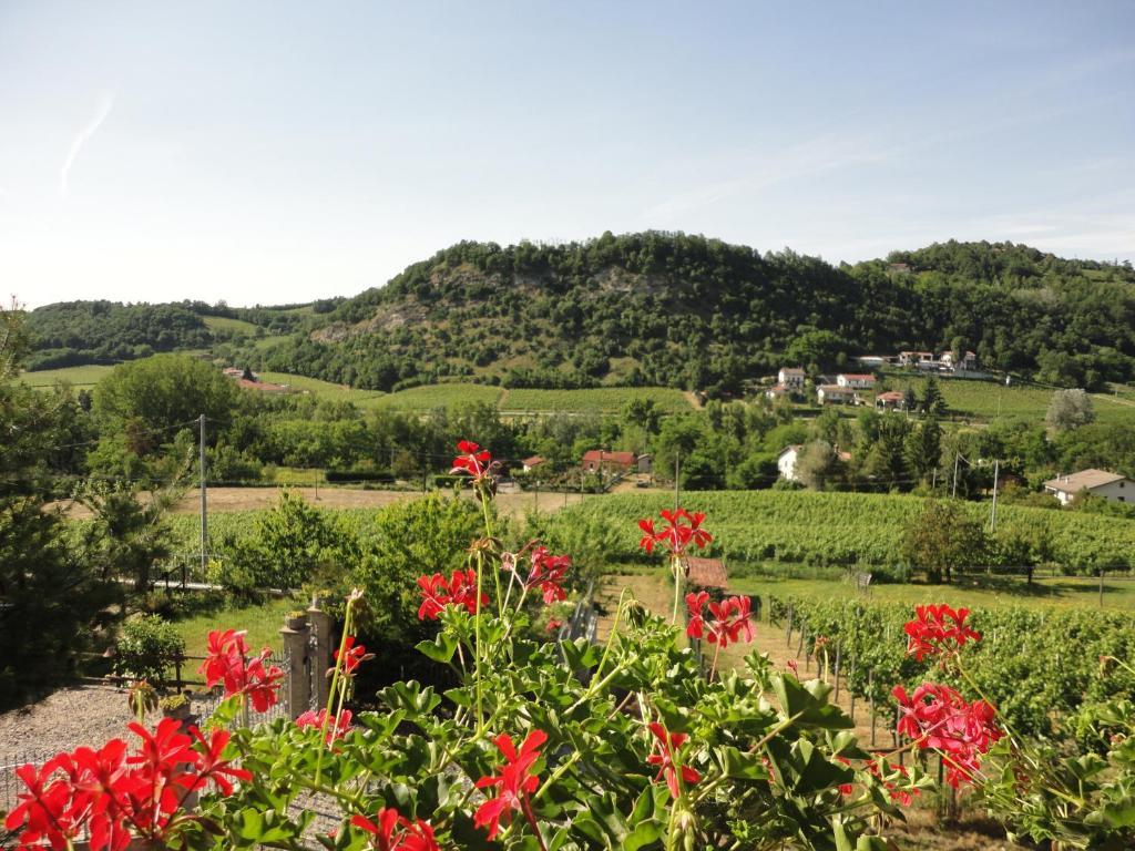 Agriturismo Nonna Du Gavi Εξωτερικό φωτογραφία